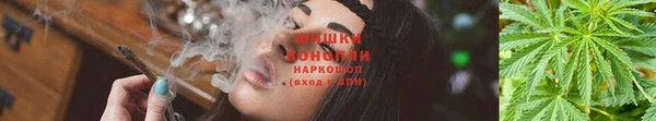 прущая мука Богородицк