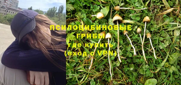 прущая мука Богородицк