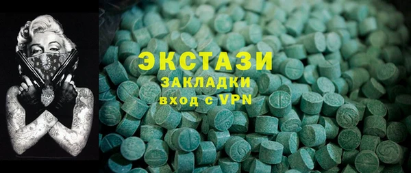 гашик Богородск