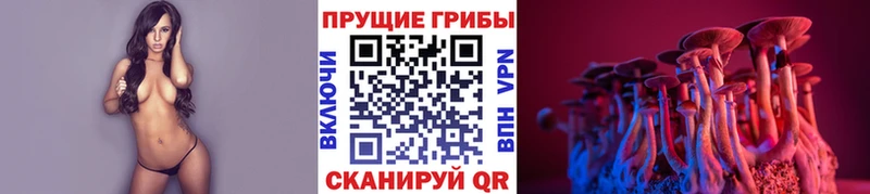 мориарти клад  Нурлат  Псилоцибиновые грибы MAGIC MUSHROOMS 